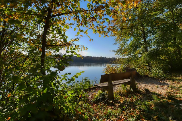 容易被对手 容易被对手