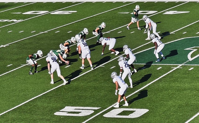 队在比赛中 队在比赛中