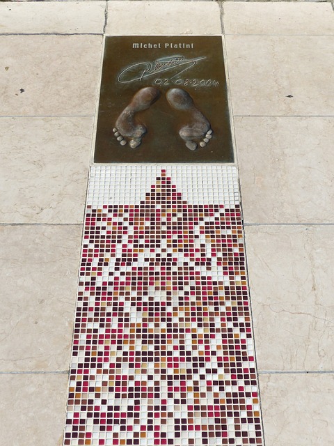 沙欣的名字 沙欣的名字